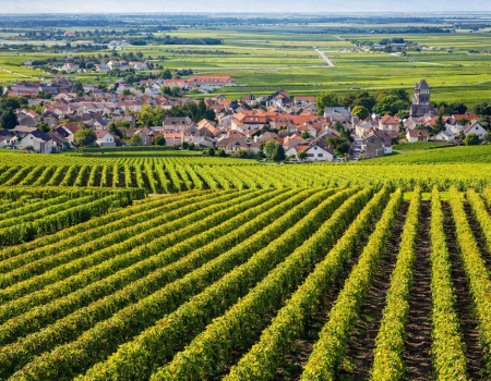 ChatGPT Image Feb 25, 2026, 05_30_52 PM